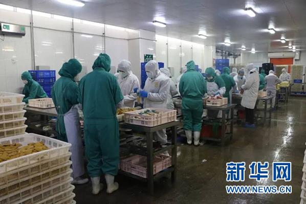 pp电子·模拟器(试玩游戏)官方网站