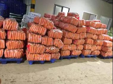 pp电子·模拟器(试玩游戏)官方网站