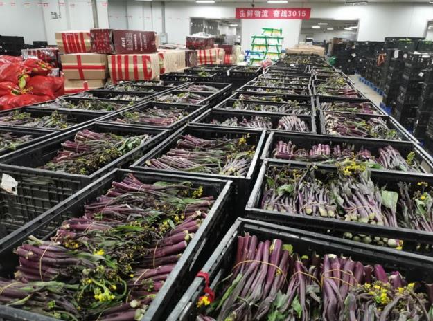 pp电子·模拟器(试玩游戏)官方网站