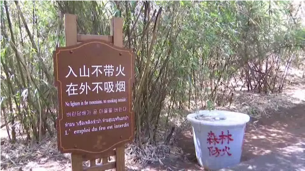 赞！鸡足山景区一连35年无森林火灾，由于他们...