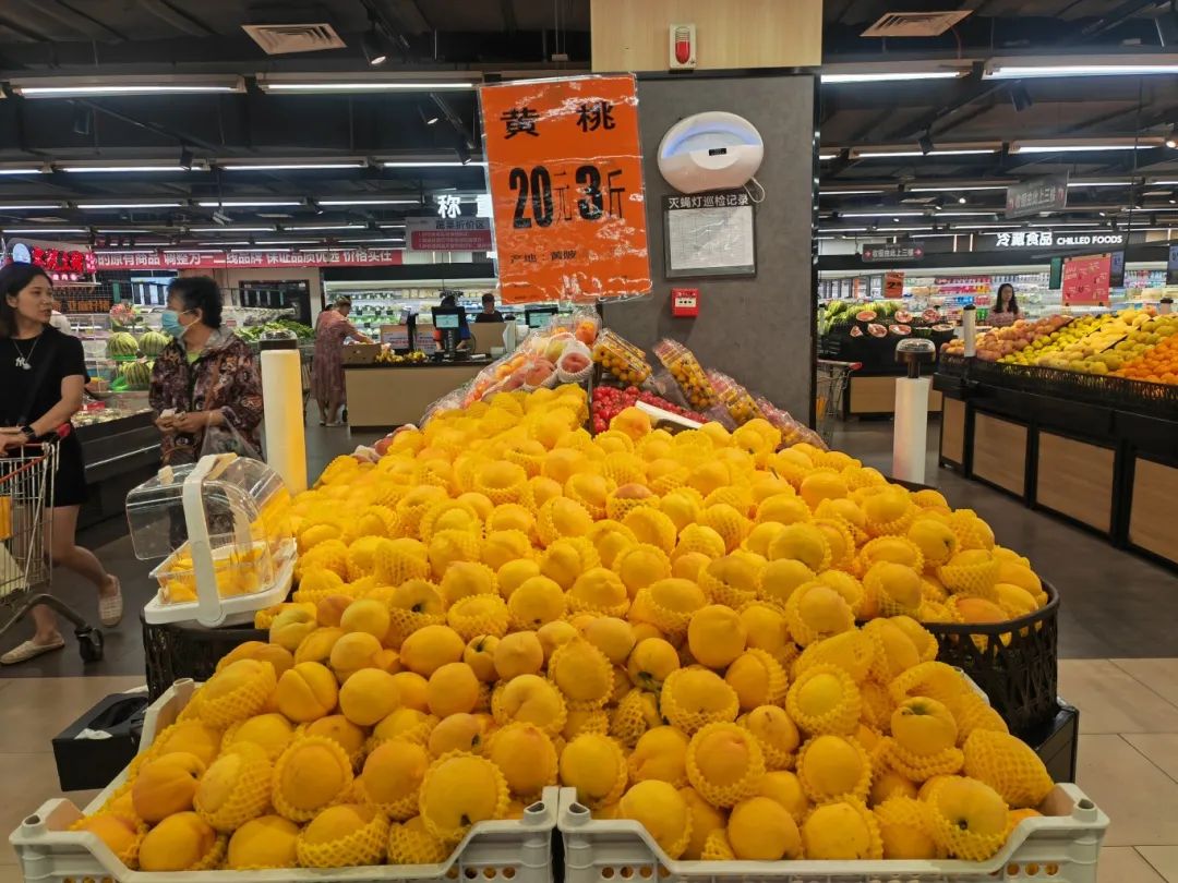 92f25d74fdff1e83ea90d5c31db46fe6